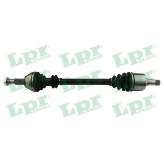 Pusašis LPR DS20095