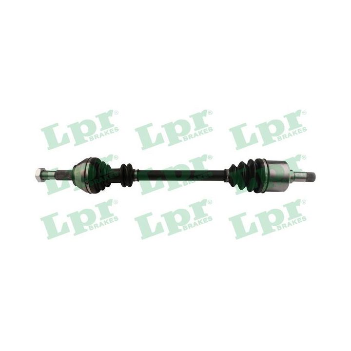 Pusašis LPR DS20095