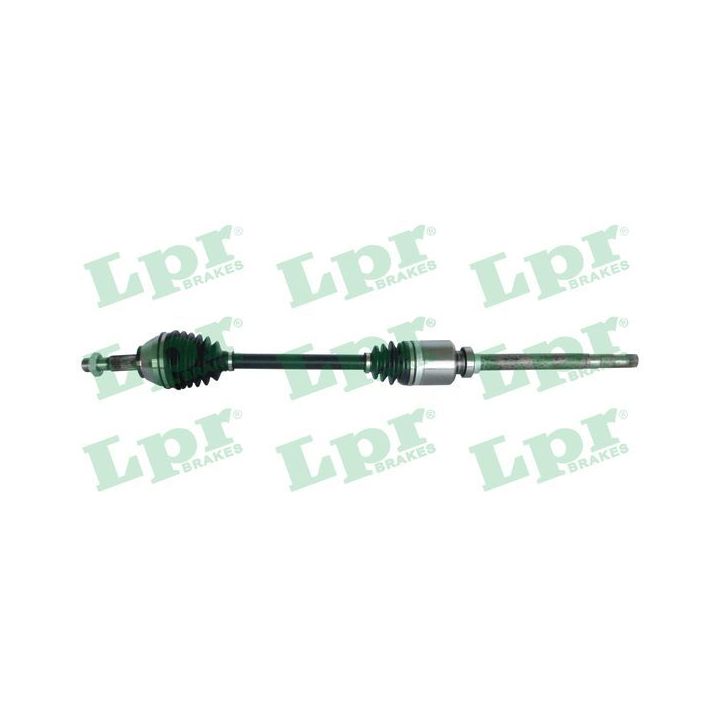 Pusašis LPR DS20096