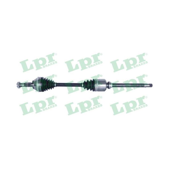 Pusašis LPR DS20100