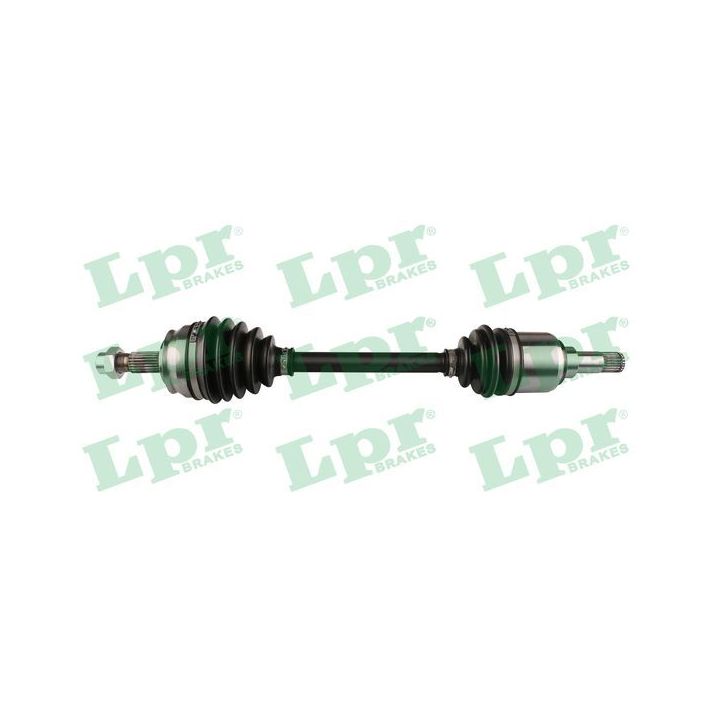 Pusašis LPR DS20101