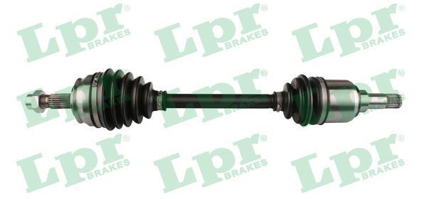 Pusašis LPR DS20101