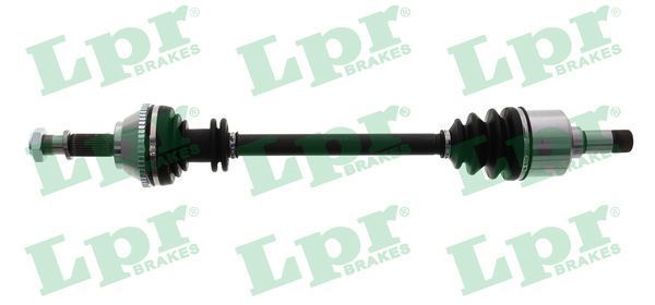 Pusašis LPR DS20139