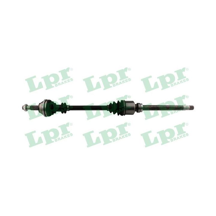 Pusašis LPR DS20140