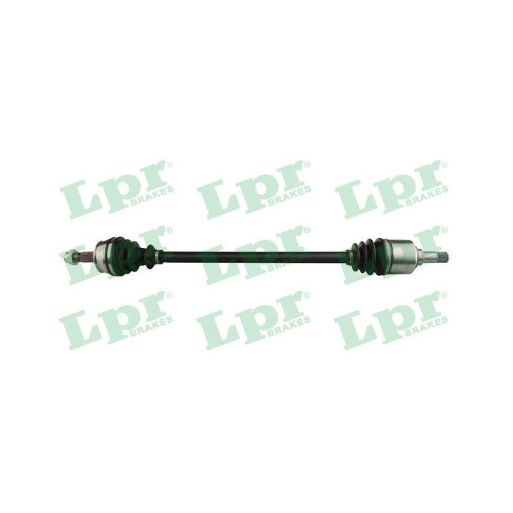 Pusašis LPR DS20241