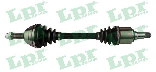 Pusašis LPR DS21035