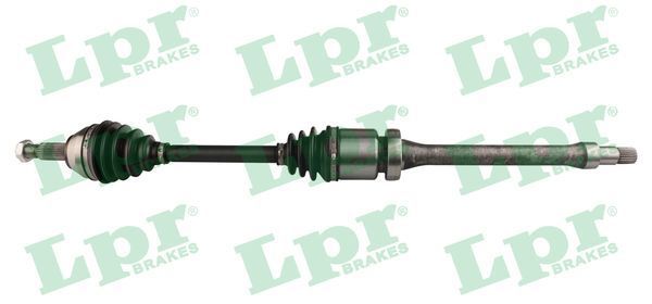 Pusašis LPR DS21070