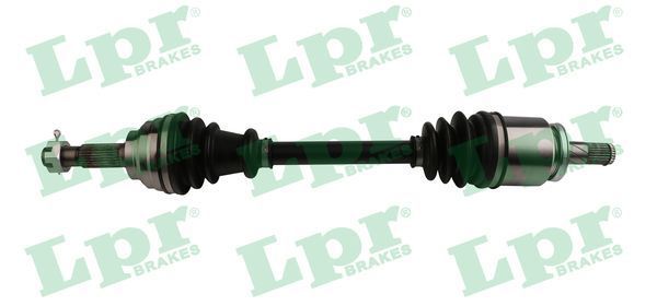 Pusašis LPR DS36060