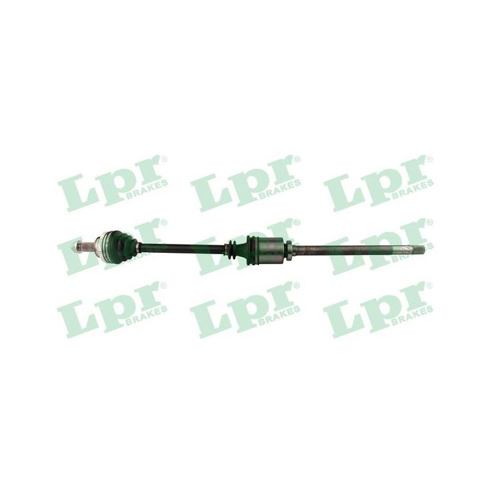 Pusašis LPR DS37074