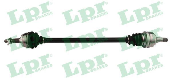 Pusašis LPR DS37100