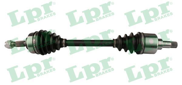 Pusašis LPR DS38139