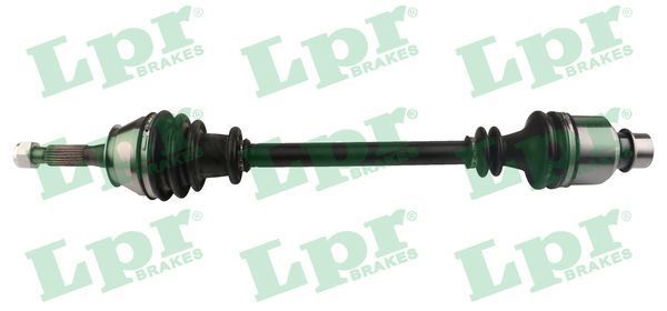 Pusašis LPR DS39020