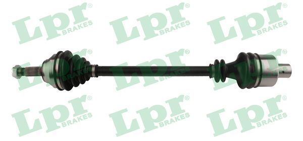 Pusašis LPR DS39030