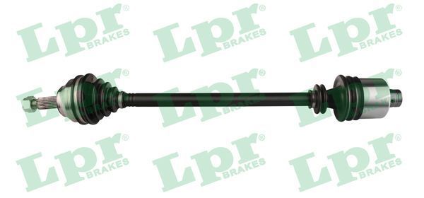 Pusašis LPR DS39068