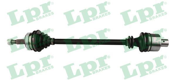 Pusašis LPR DS39070