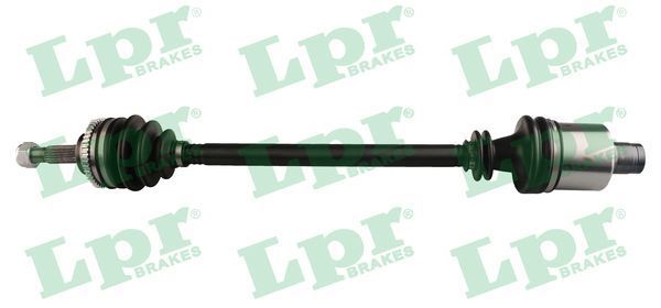 Pusašis LPR DS39101