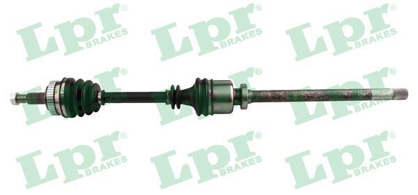 Pusašis LPR DS39119