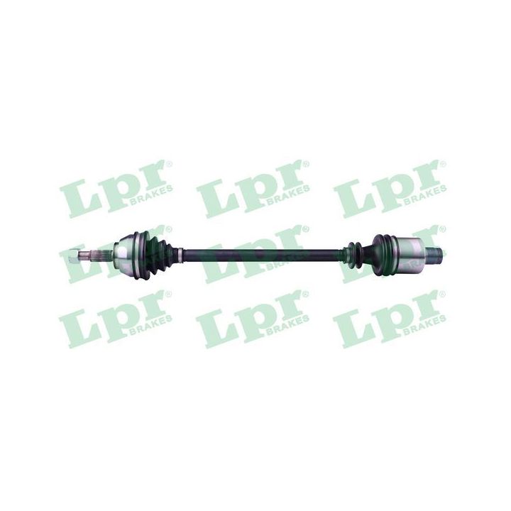 Pusašis LPR DS39151