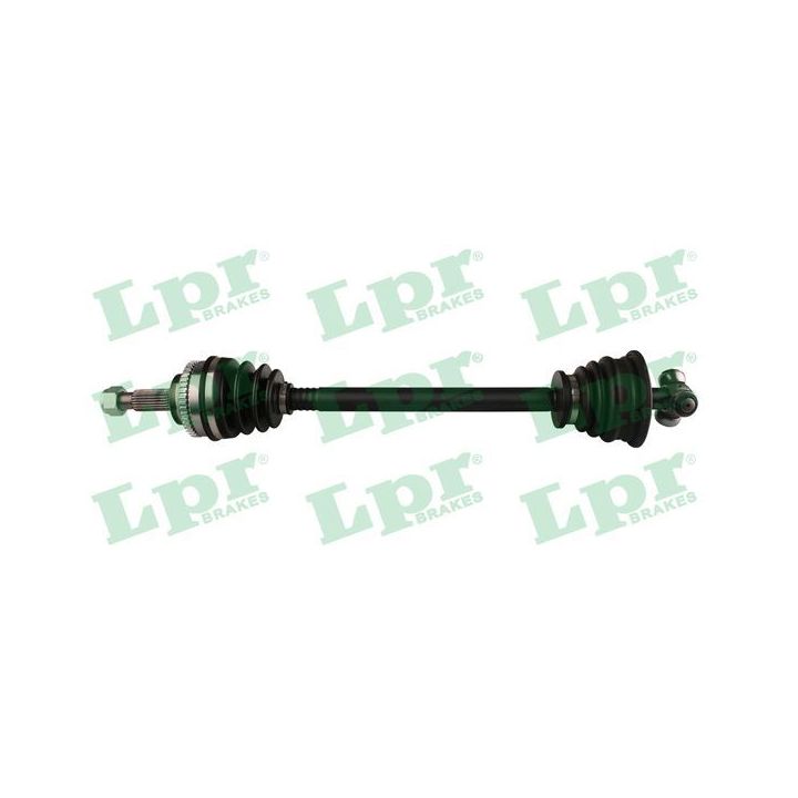 Pusašis LPR DS39251