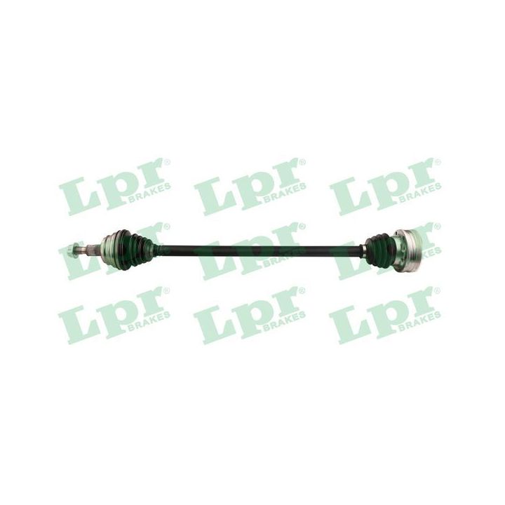 Pusašis LPR DS43008