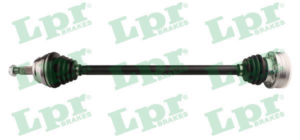Pusašis LPR DS51032
