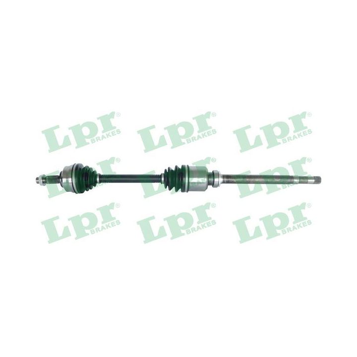 Pusašis LPR DS52231