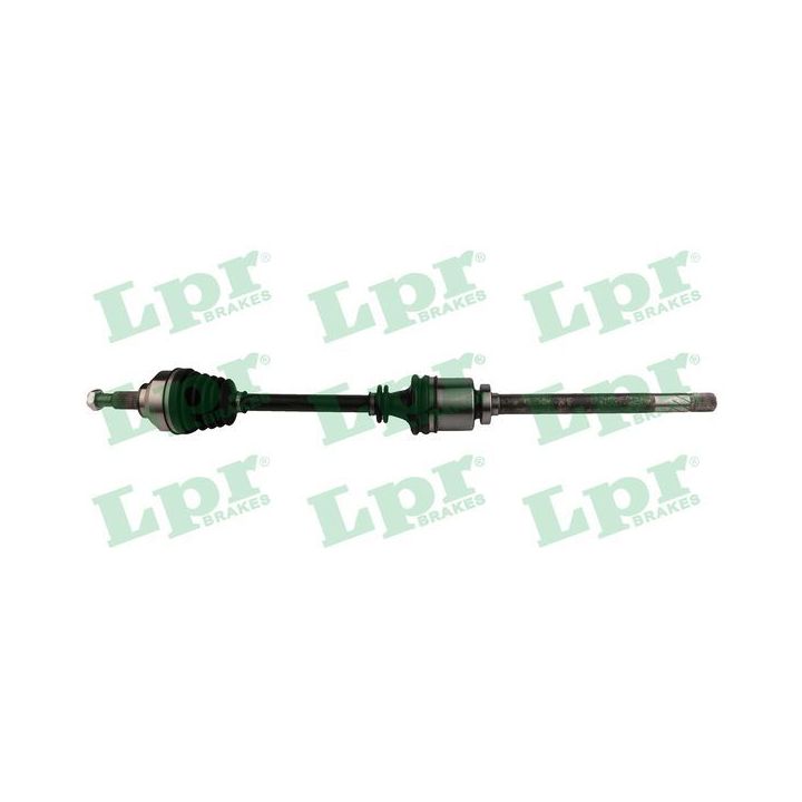 Pusašis LPR DS52239