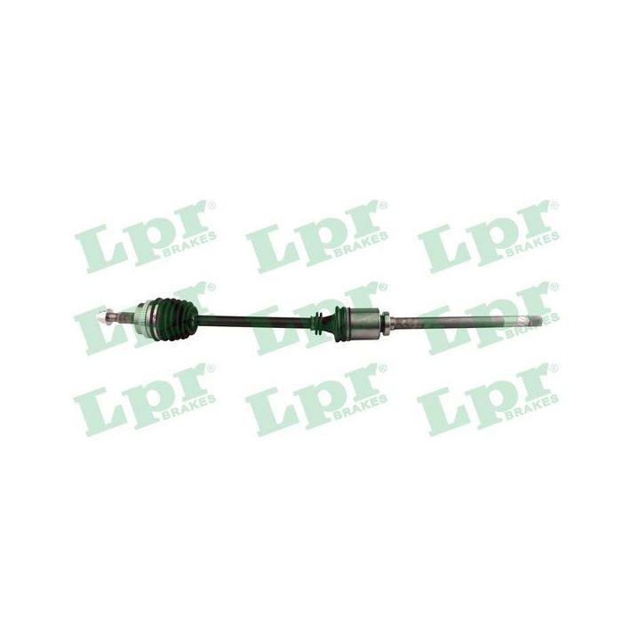 Pusašis LPR DS52245