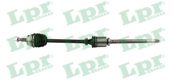 Pusašis LPR DS52245