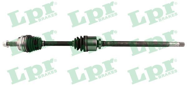 Pusašis LPR DS52246