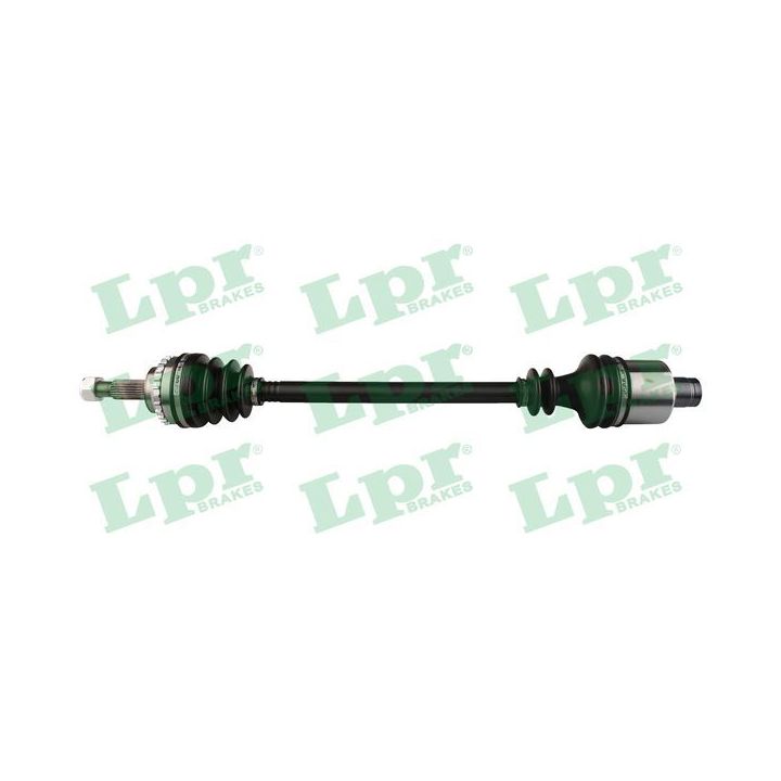 Pusašis LPR DS52379