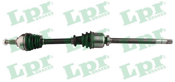 Pusašis LPR DS52391