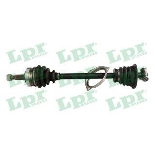 Pusašis LPR DS52405