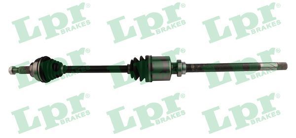 Pusašis LPR DS52412