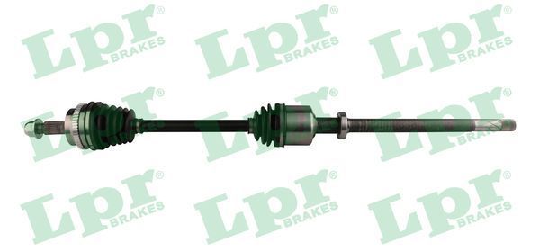 Pusašis LPR DS52428