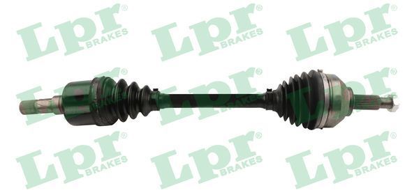 Pusašis LPR DS52433