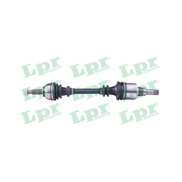 Pusašis LPR DS52435