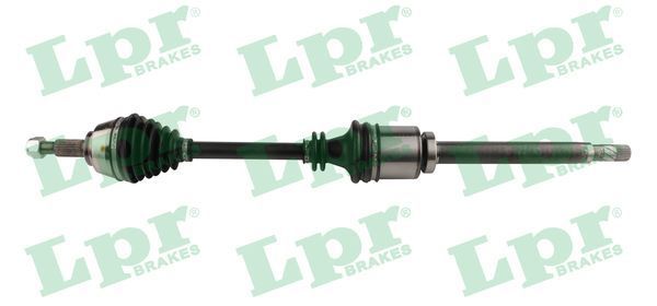 Pusašis LPR DS52443