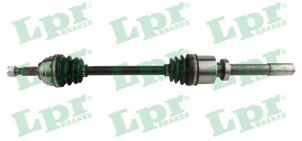 Pusašis LPR DS52449