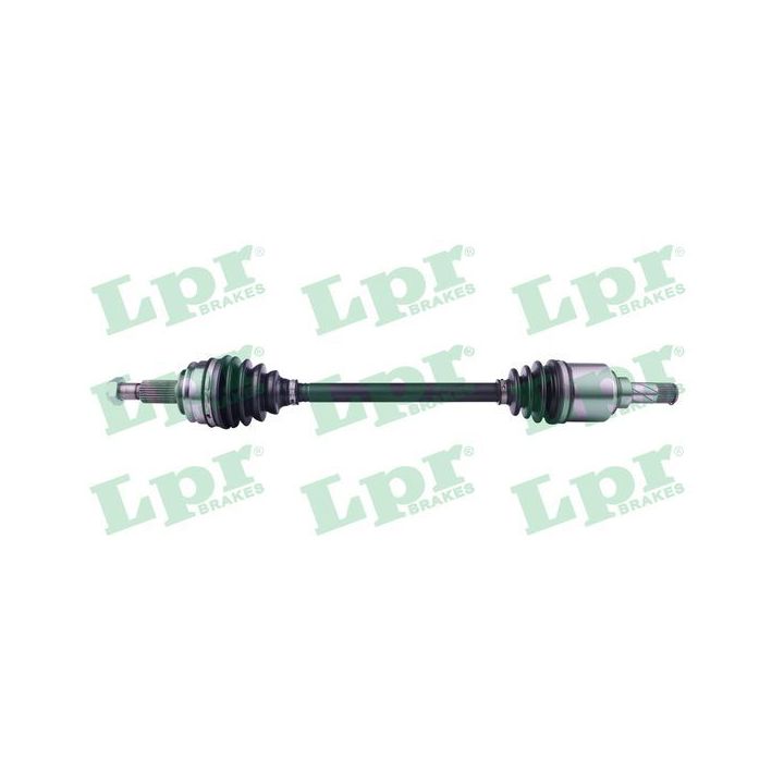 Pusašis LPR DS52450