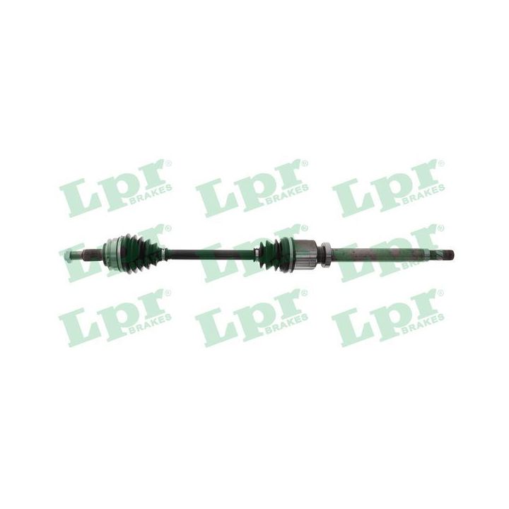 Pusašis LPR DS52451