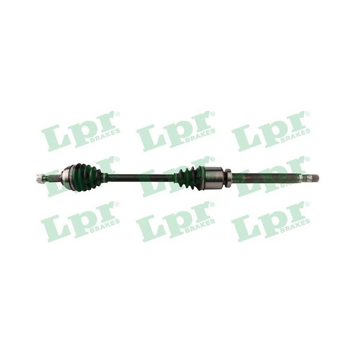 Pusašis LPR DS52455