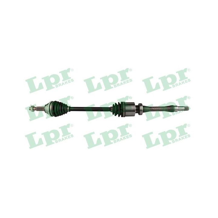 Pusašis LPR DS52535