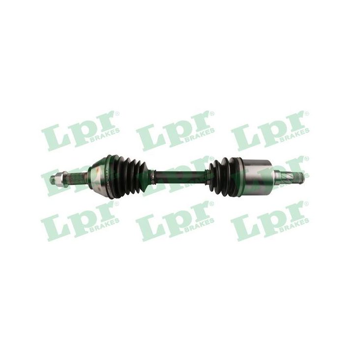 Pusašis LPR DS52725