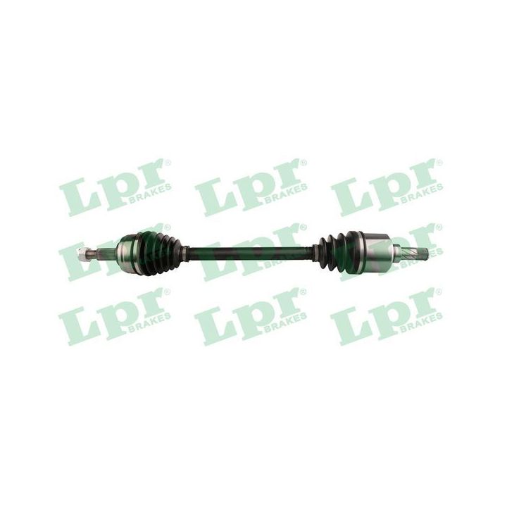 Pusašis LPR DS52727