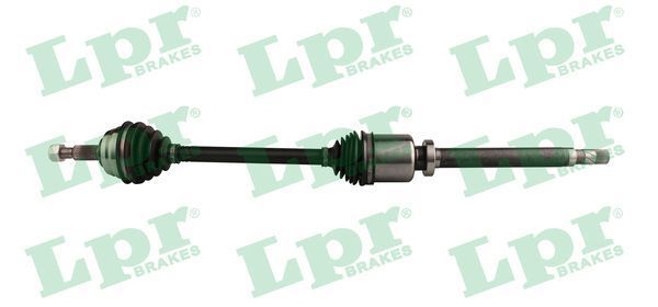 Pusašis LPR DS52743