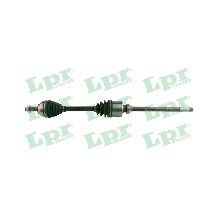 Pusašis LPR DS60206