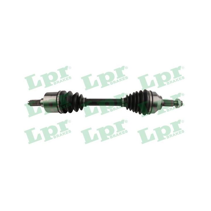 Pusašis LPR DS60210