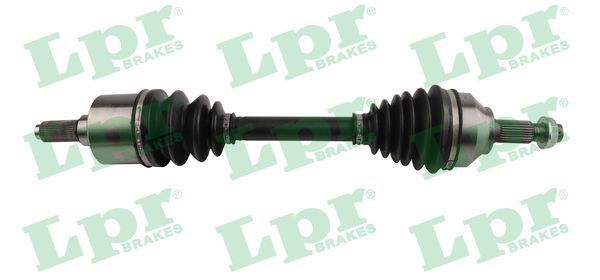 Pusašis LPR DS60210