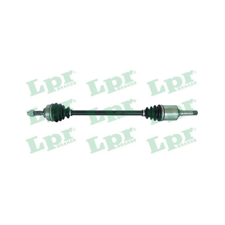 Pusašis LPR DS60233